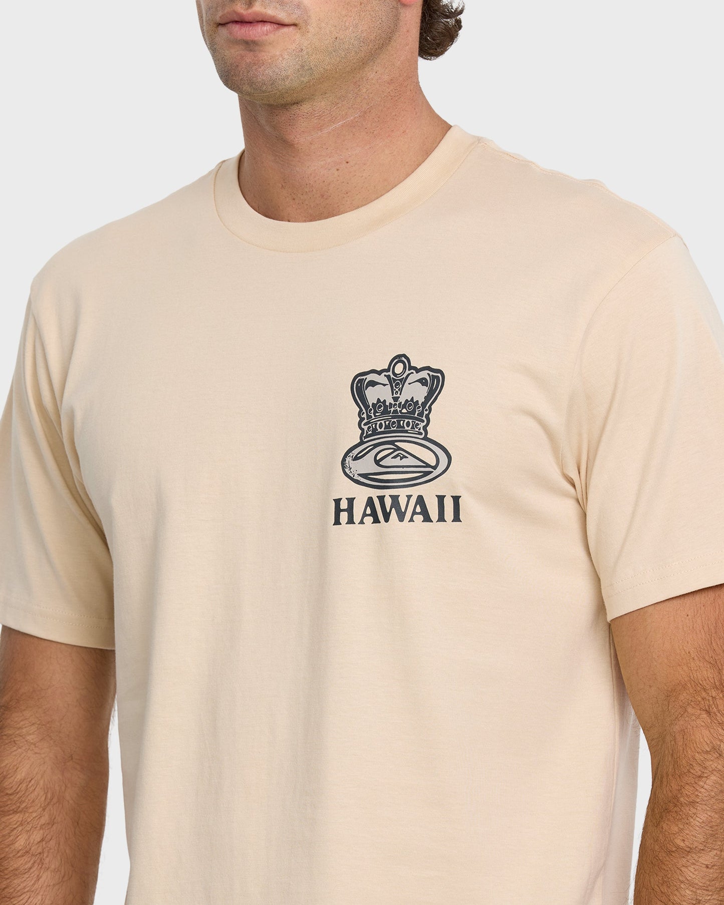 808 Represent Classic T-shirt - Fog Fog Quick Silver
