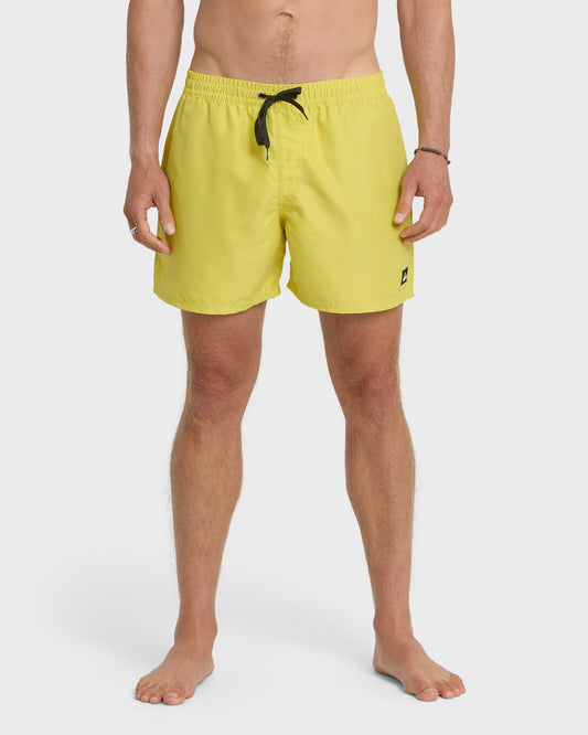 Everyday Solid 17" Swim Trunks - Acacia Acacia Quick Silver