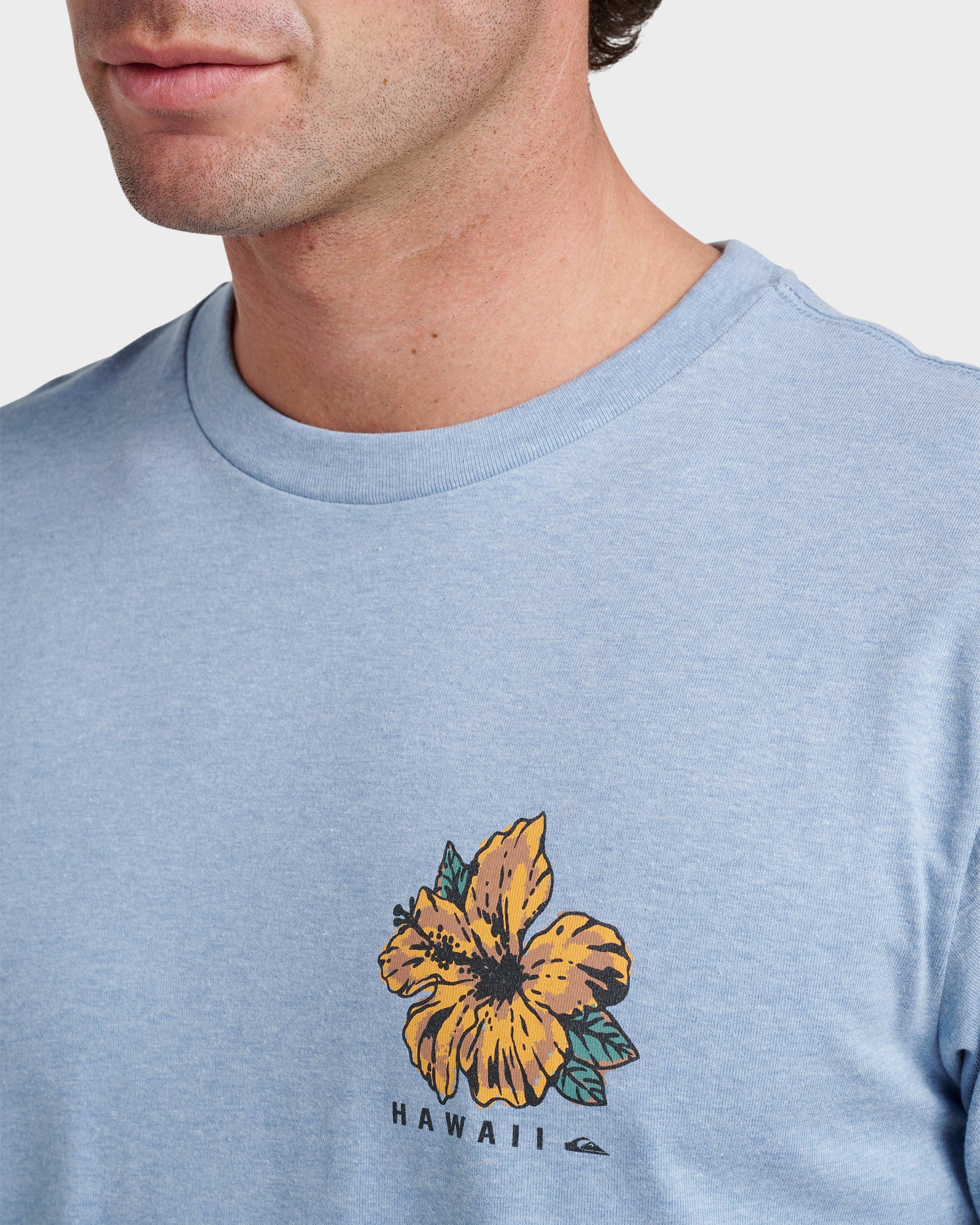 Hi Garden Classic T-shirt - Ashley Blue Heather Ashley Blue Heather Quick Silver