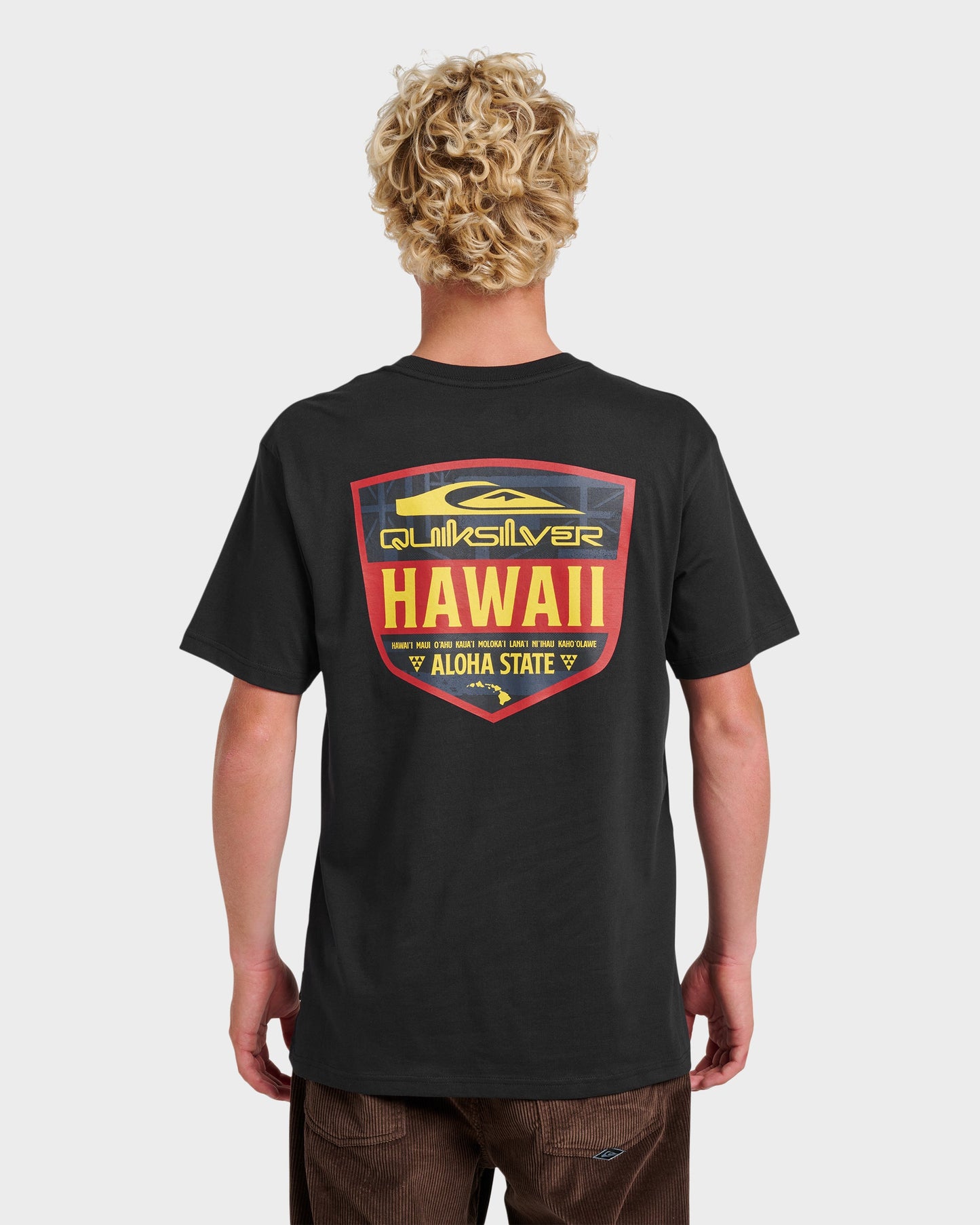 Hi Shield Classic T-shirt - Black Black Quick Silver