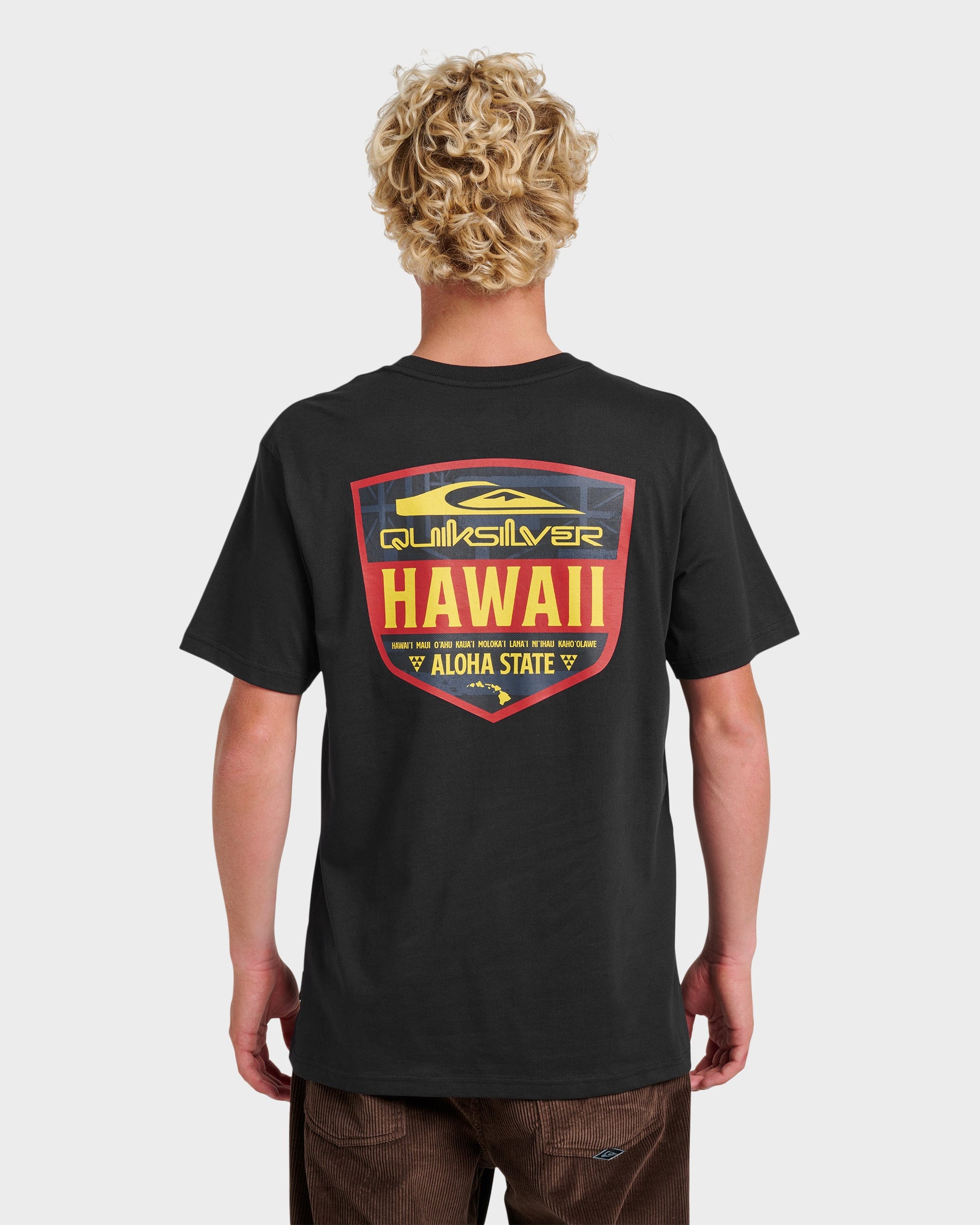 Hi Shield Classic T-shirt - Black Black Quick Silver
