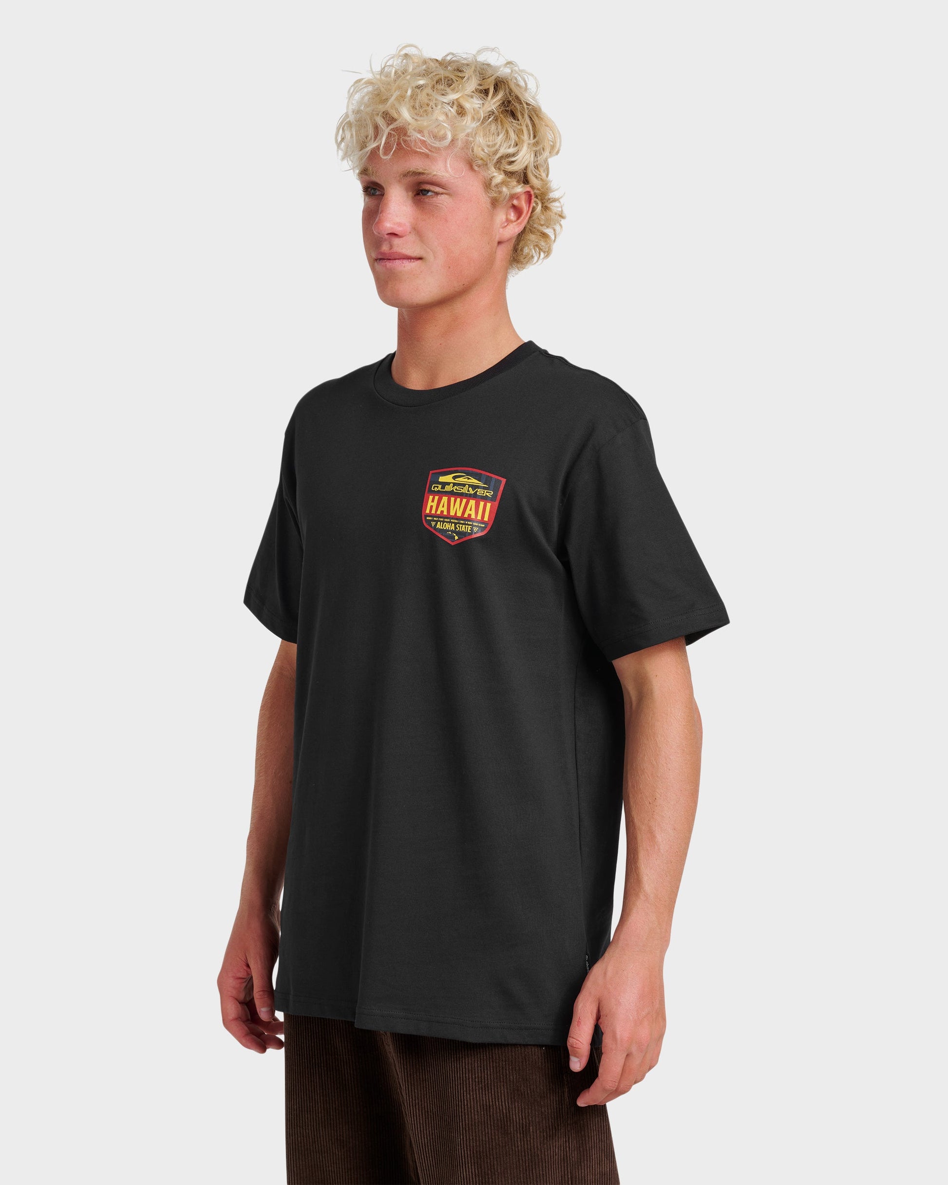 Hi Shield Classic T-shirt - Black Black Quick Silver
