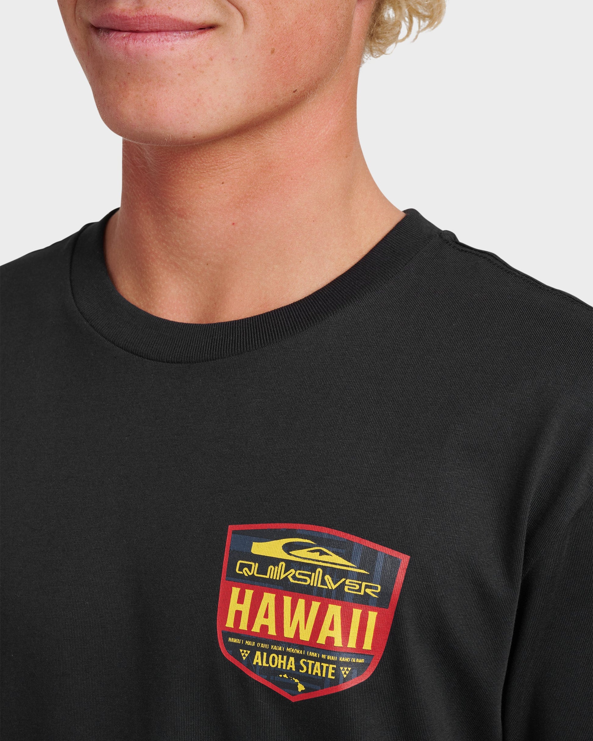 Hi Shield Classic T-shirt - Black Black Quick Silver