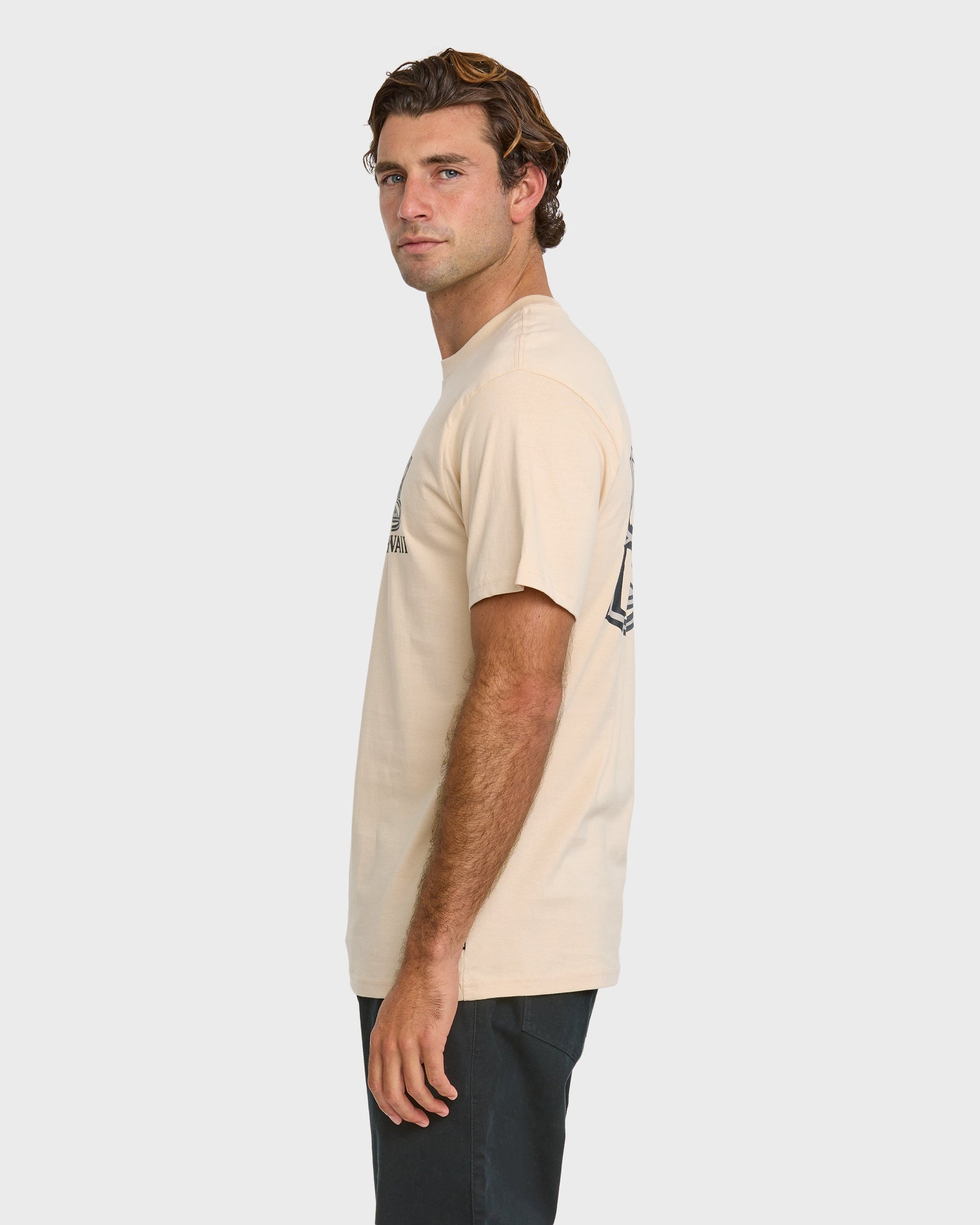 808 Represent Classic T-shirt - Fog Fog Quick Silver