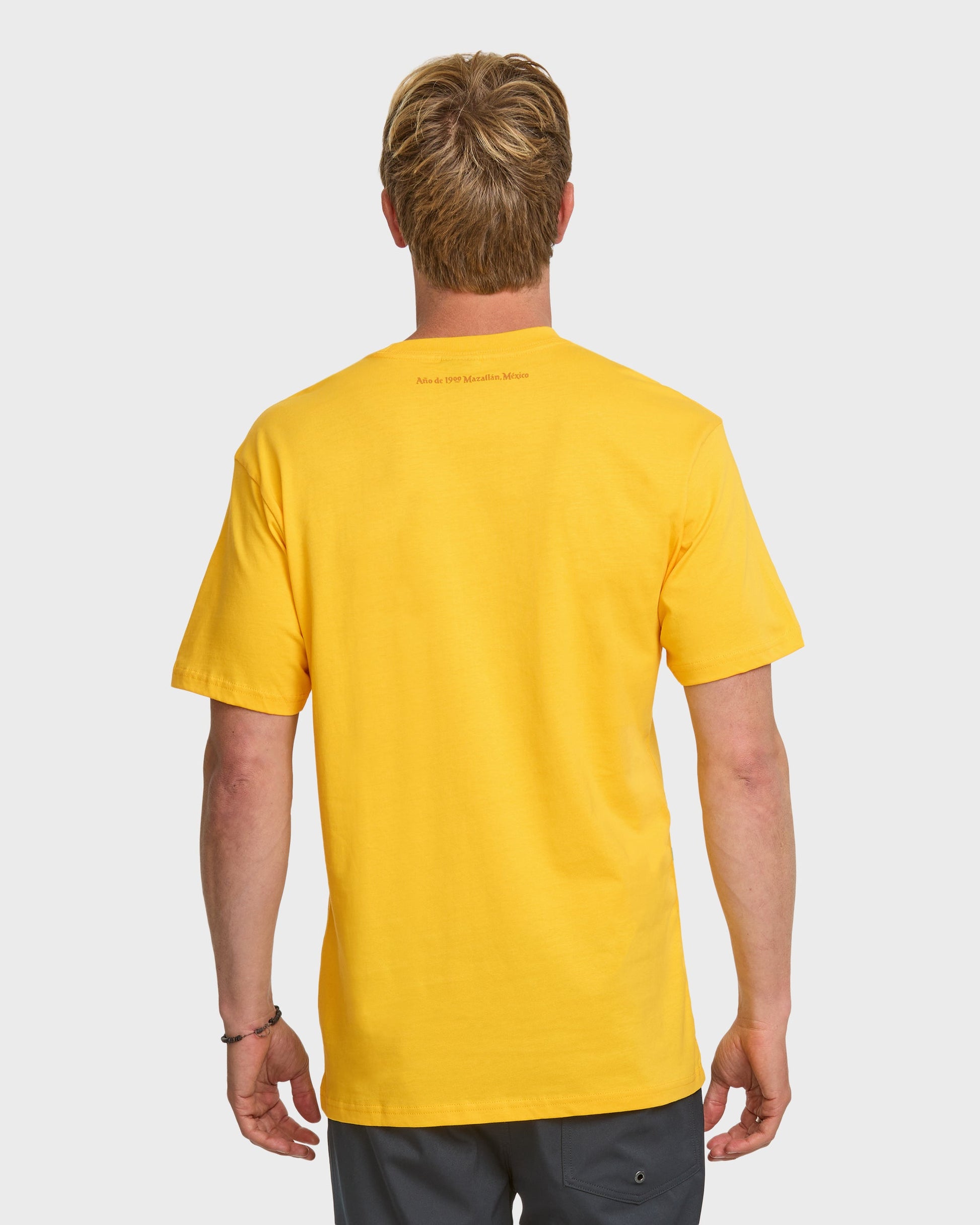 Quiksilver x Pacifico Baja Arch T-Shirt - Sunshine Sunshine Quick Silver