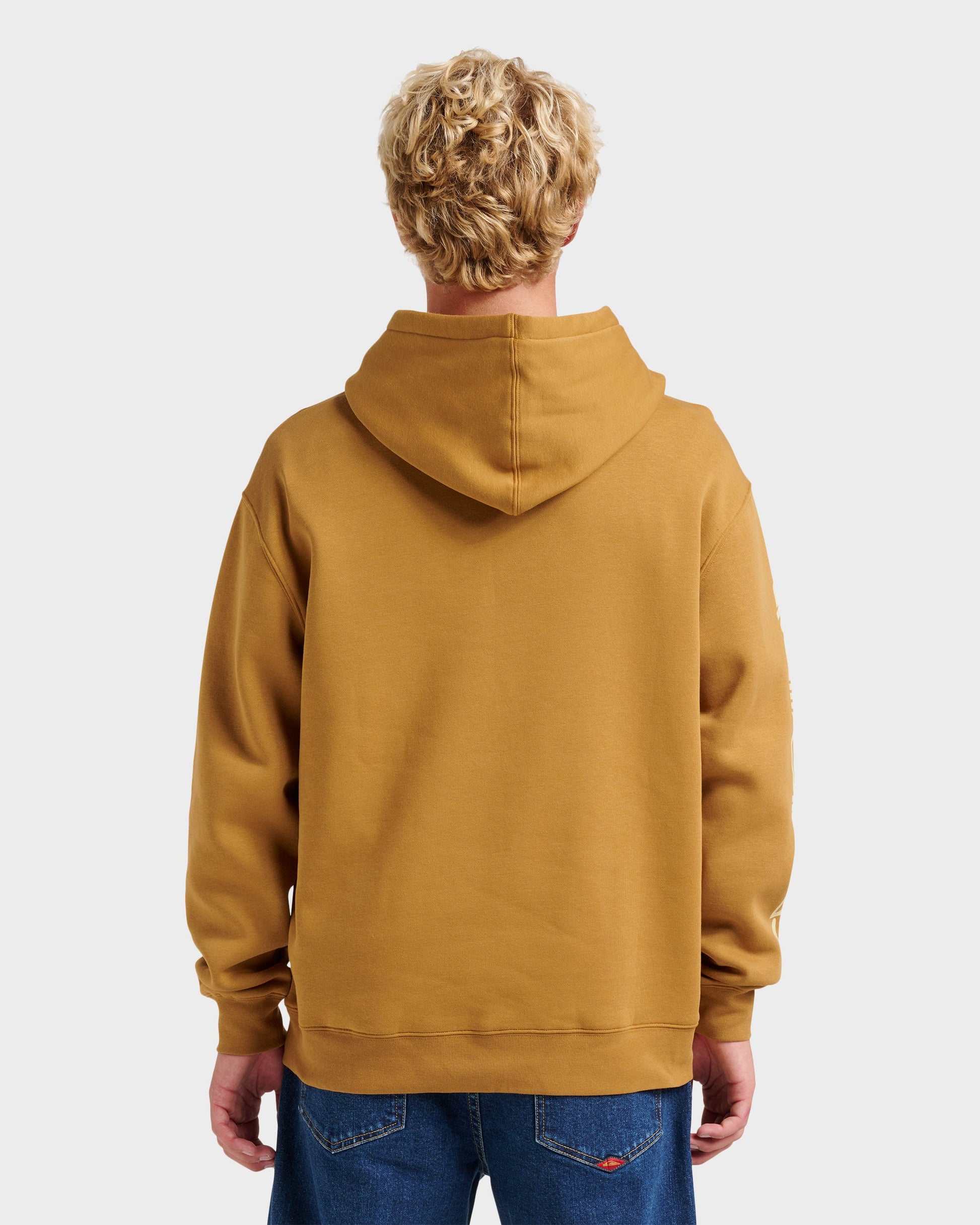 Passage Logo Hoodie - Wood Thrush Wood Thrush Quick Silver