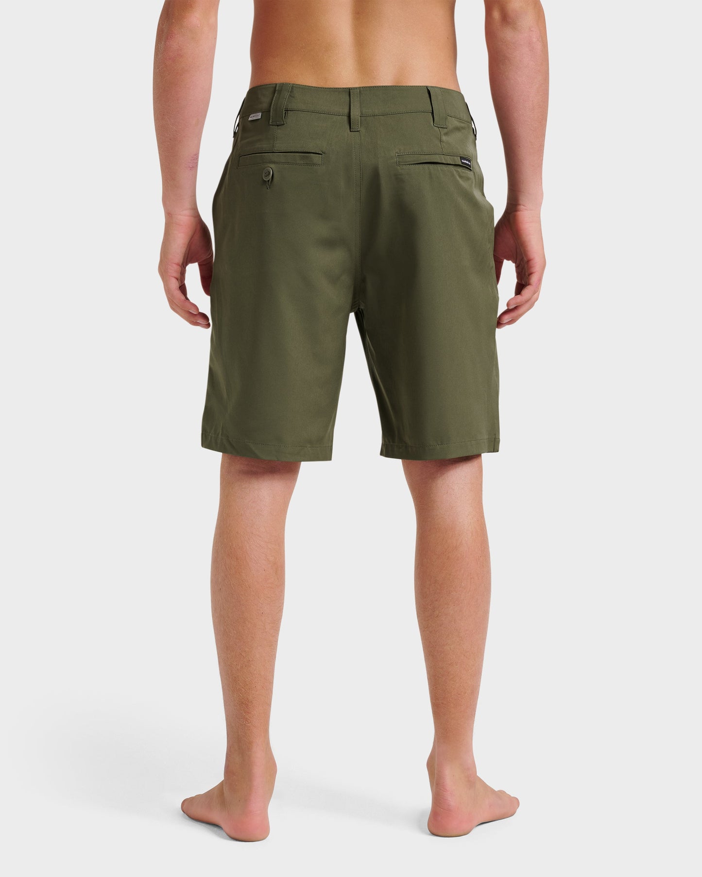 Union Amphibian 20" Hybrid Shorts - Grape Leaf Grape Leaf Quick Silver