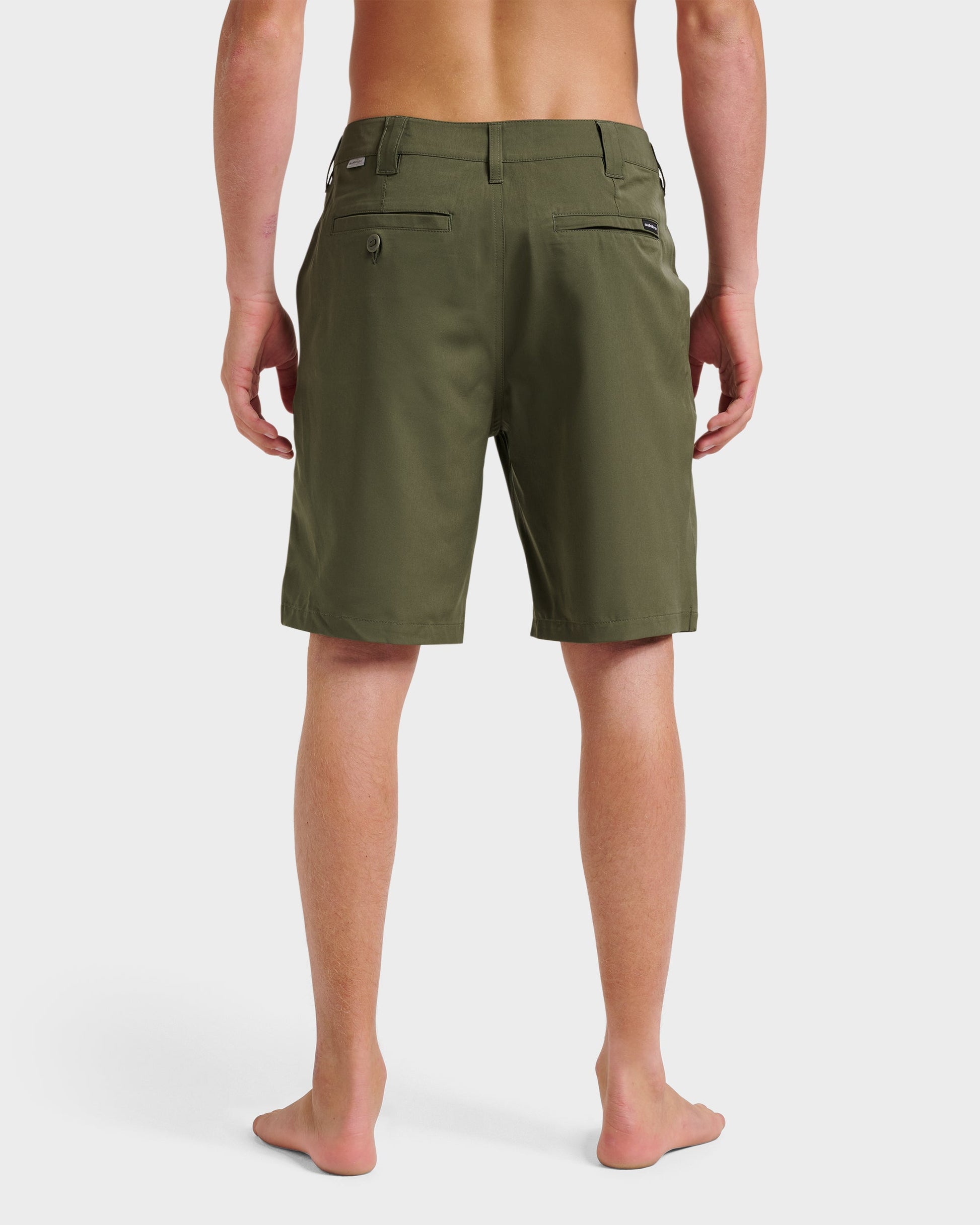Union Amphibian 20" Hybrid Shorts - Grape Leaf Grape Leaf Quick Silver