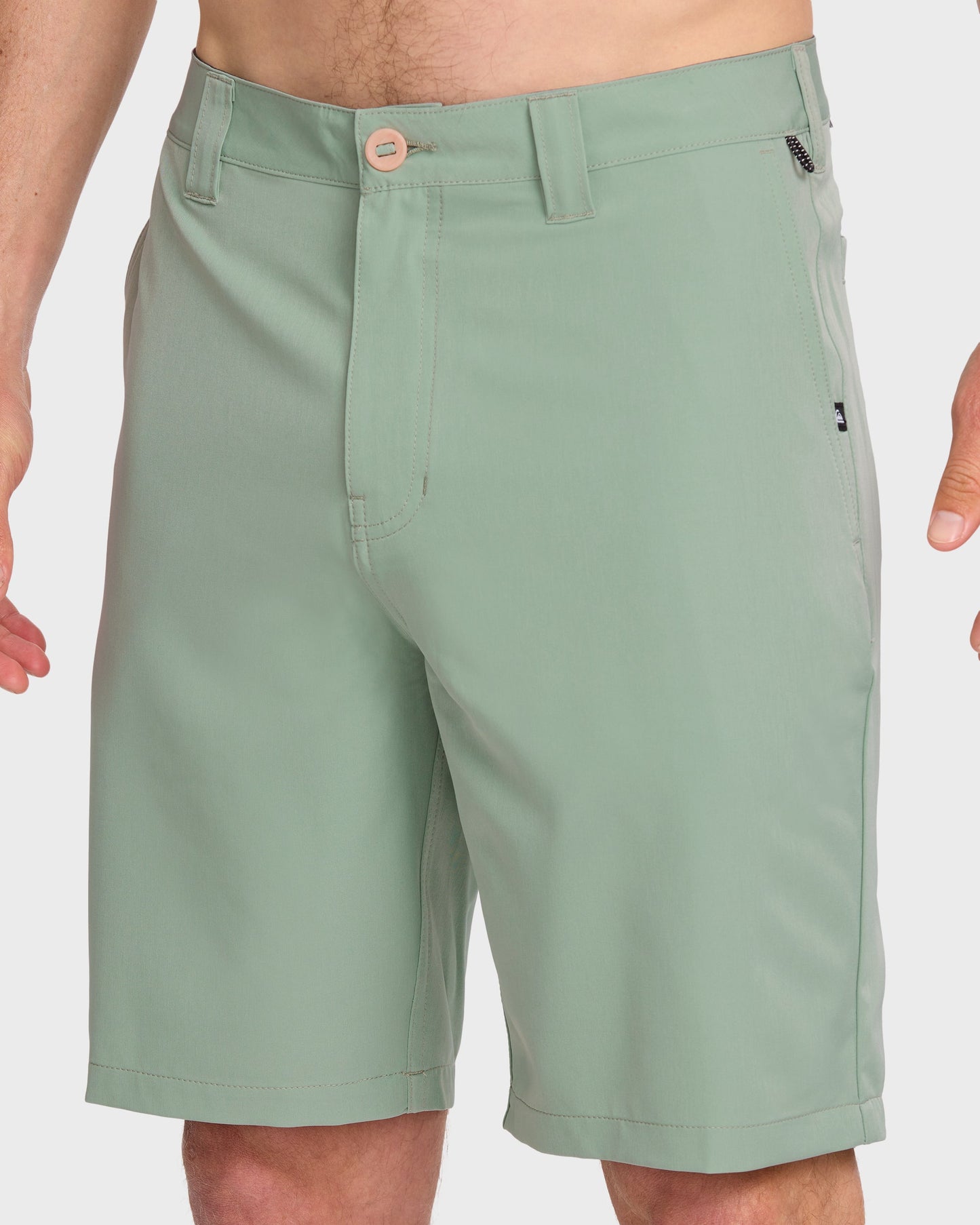 Union Amphibian 20" Hybrid Shorts - Herb Herb Quick Silver