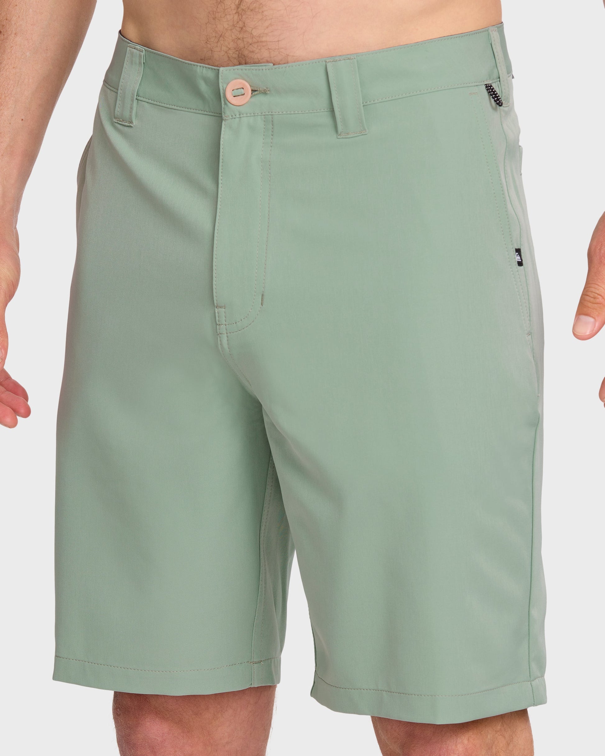Union Amphibian 20" Hybrid Shorts - Herb Herb Quick Silver
