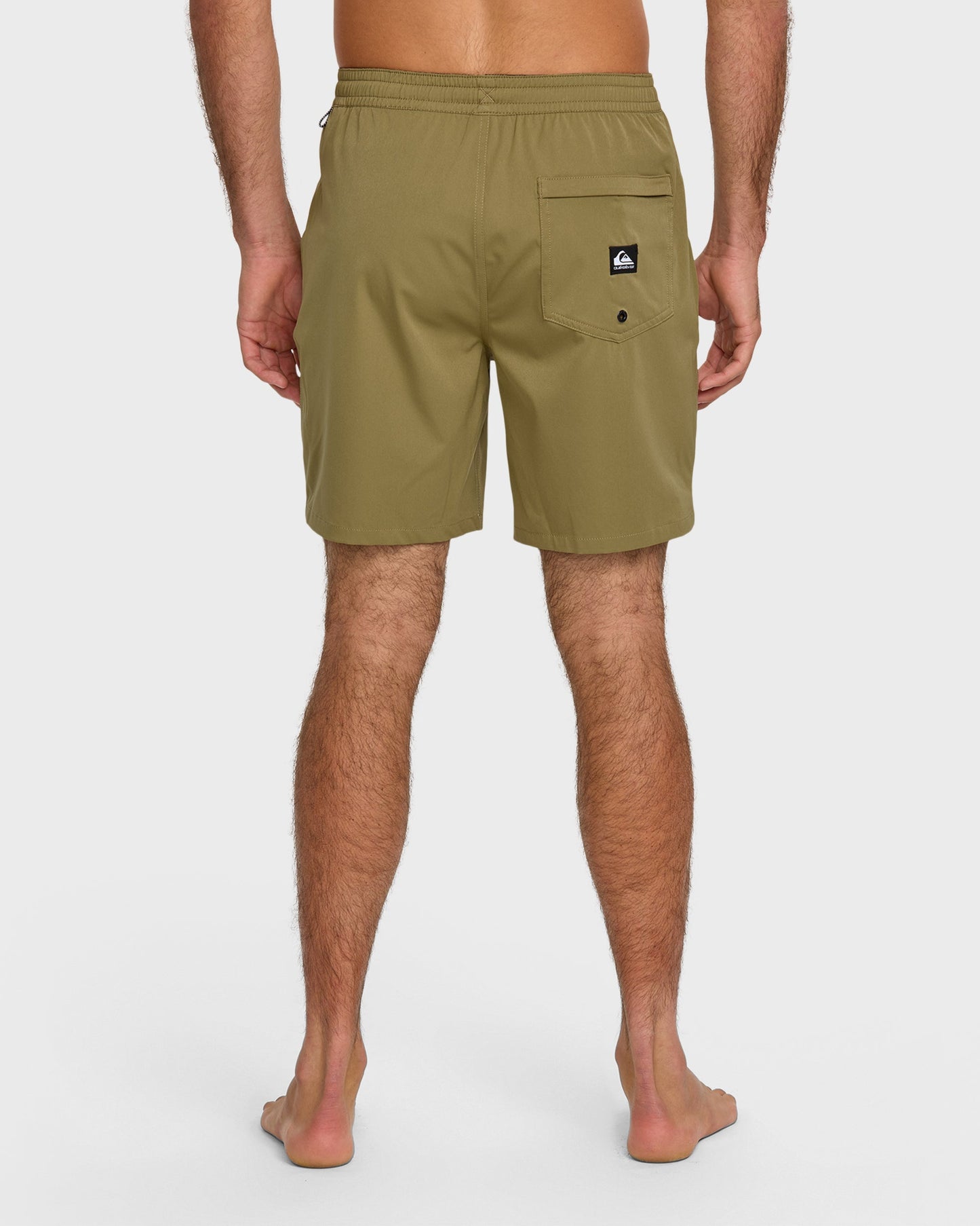 Taxer Amphibian 18" Hybrid Shorts - Aloe Aloe Quick Silver