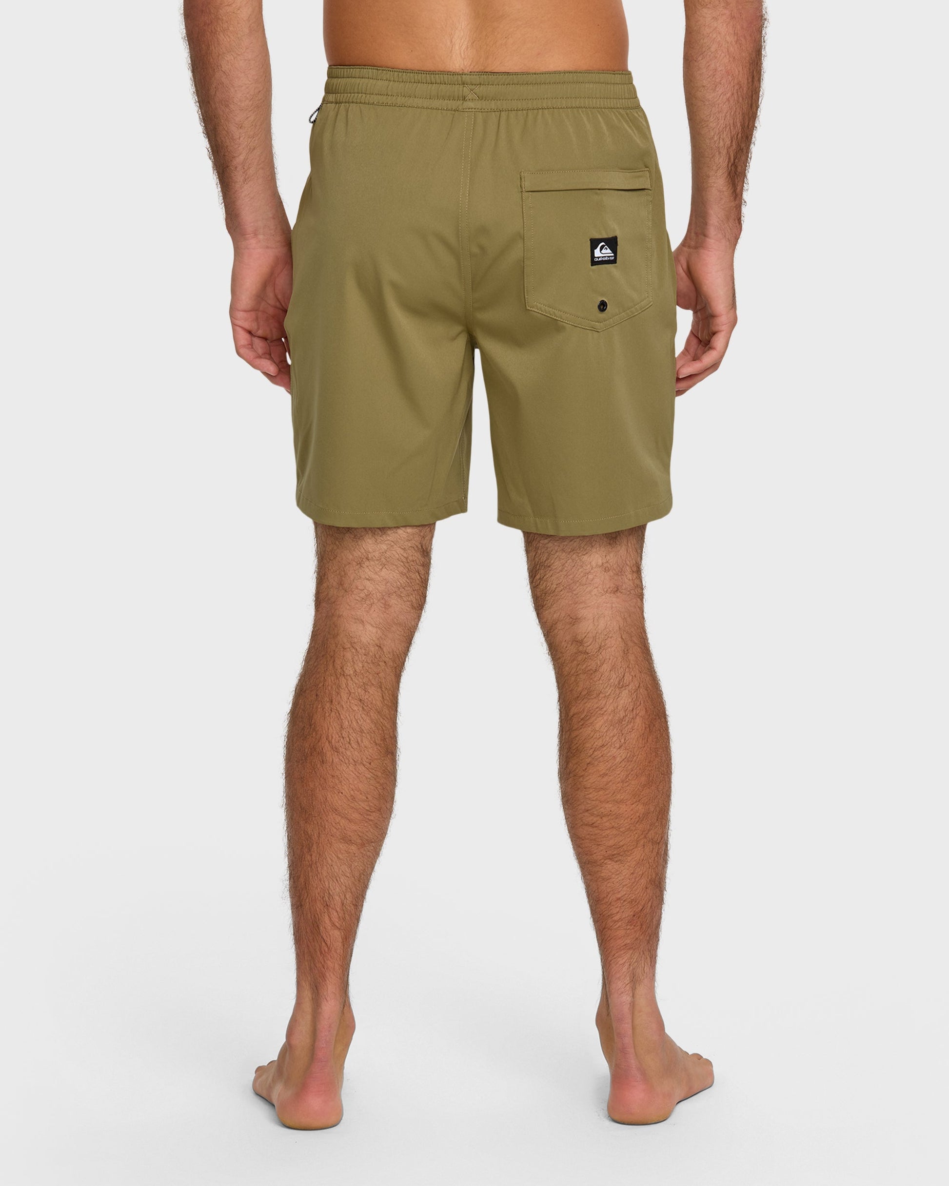 Taxer Amphibian 18" Hybrid Shorts - Aloe Aloe Quick Silver