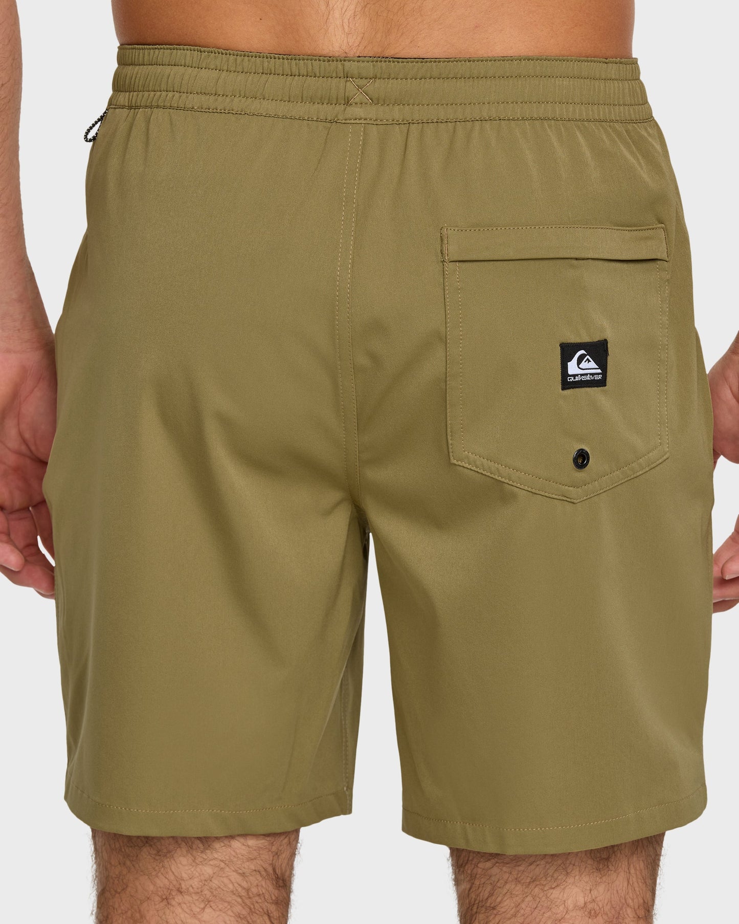 Taxer Amphibian 18" Hybrid Shorts - Aloe Aloe Quick Silver