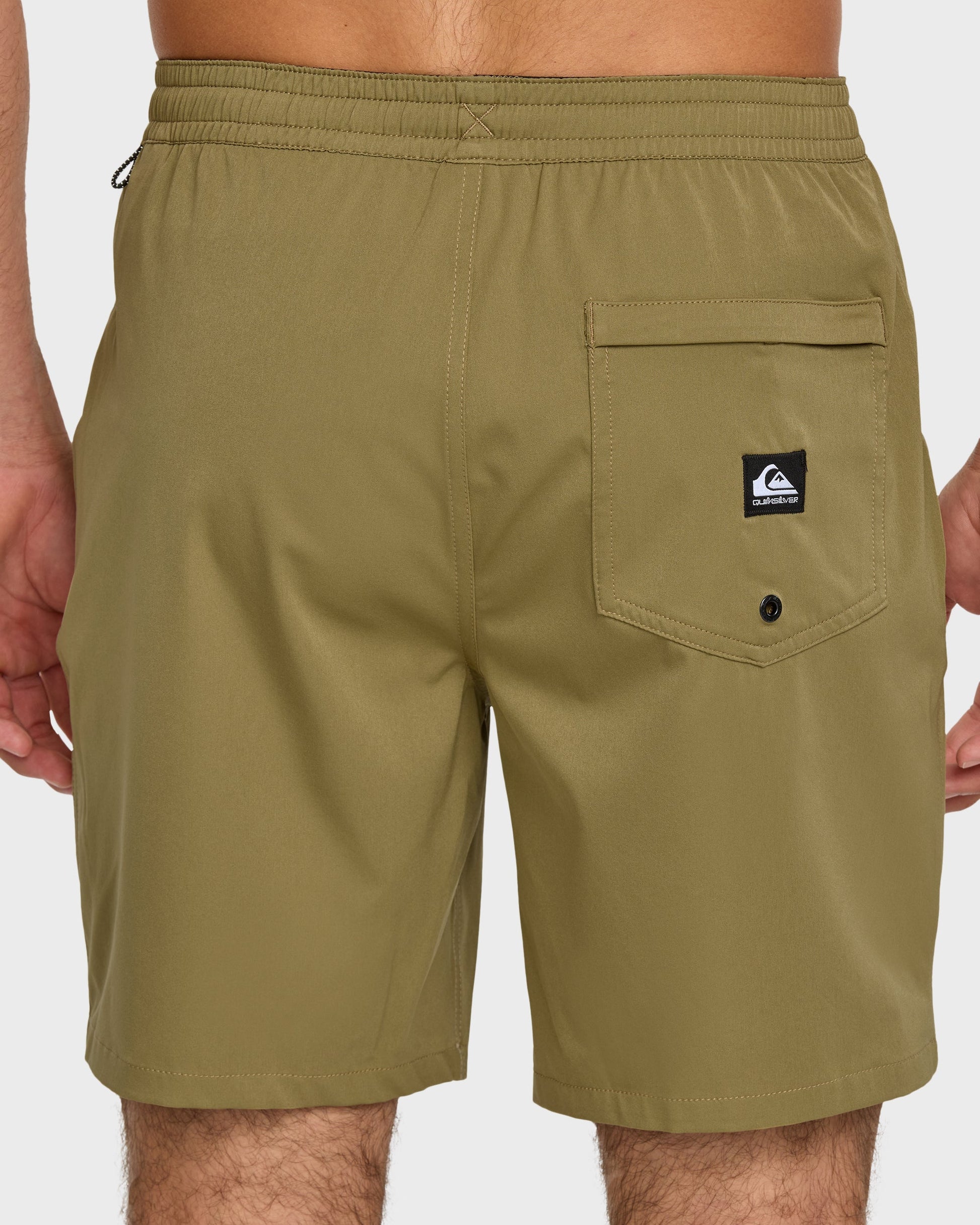 Taxer Amphibian 18" Hybrid Shorts - Aloe Aloe Quick Silver