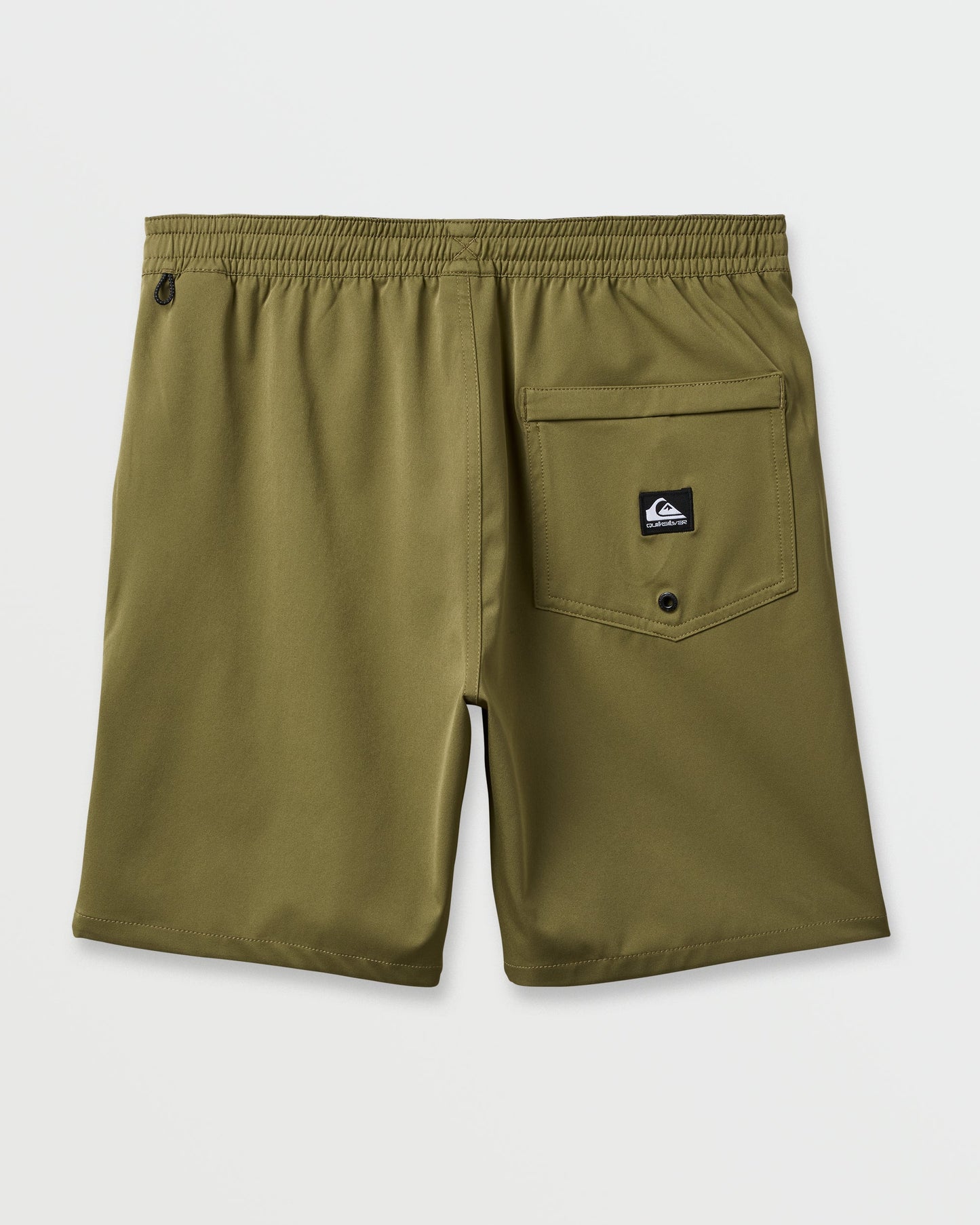 Taxer Amphibian 18" Hybrid Shorts - Aloe Aloe Quick Silver