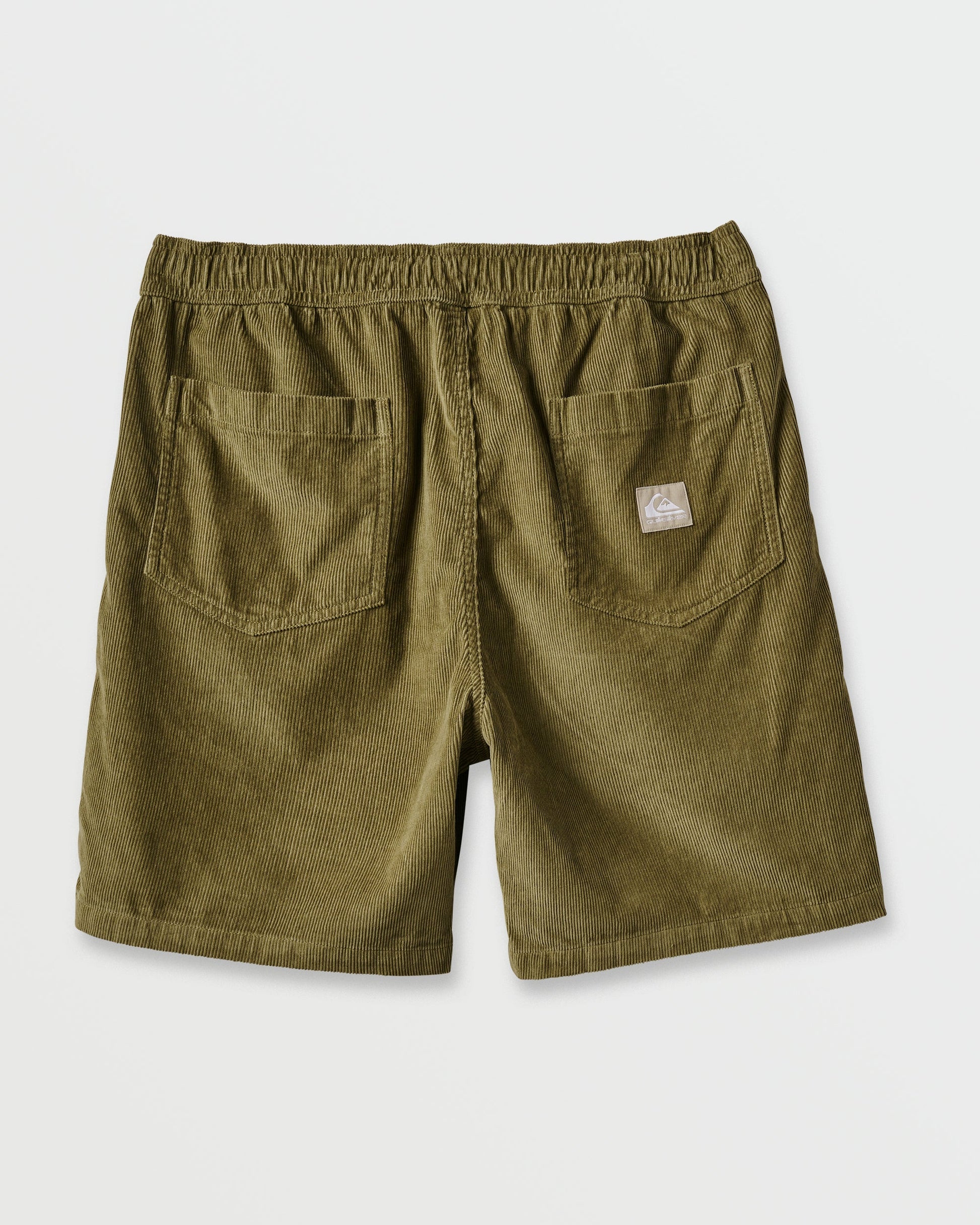Taxer Corduroy Shorts - Aloe Aloe Quick Silver