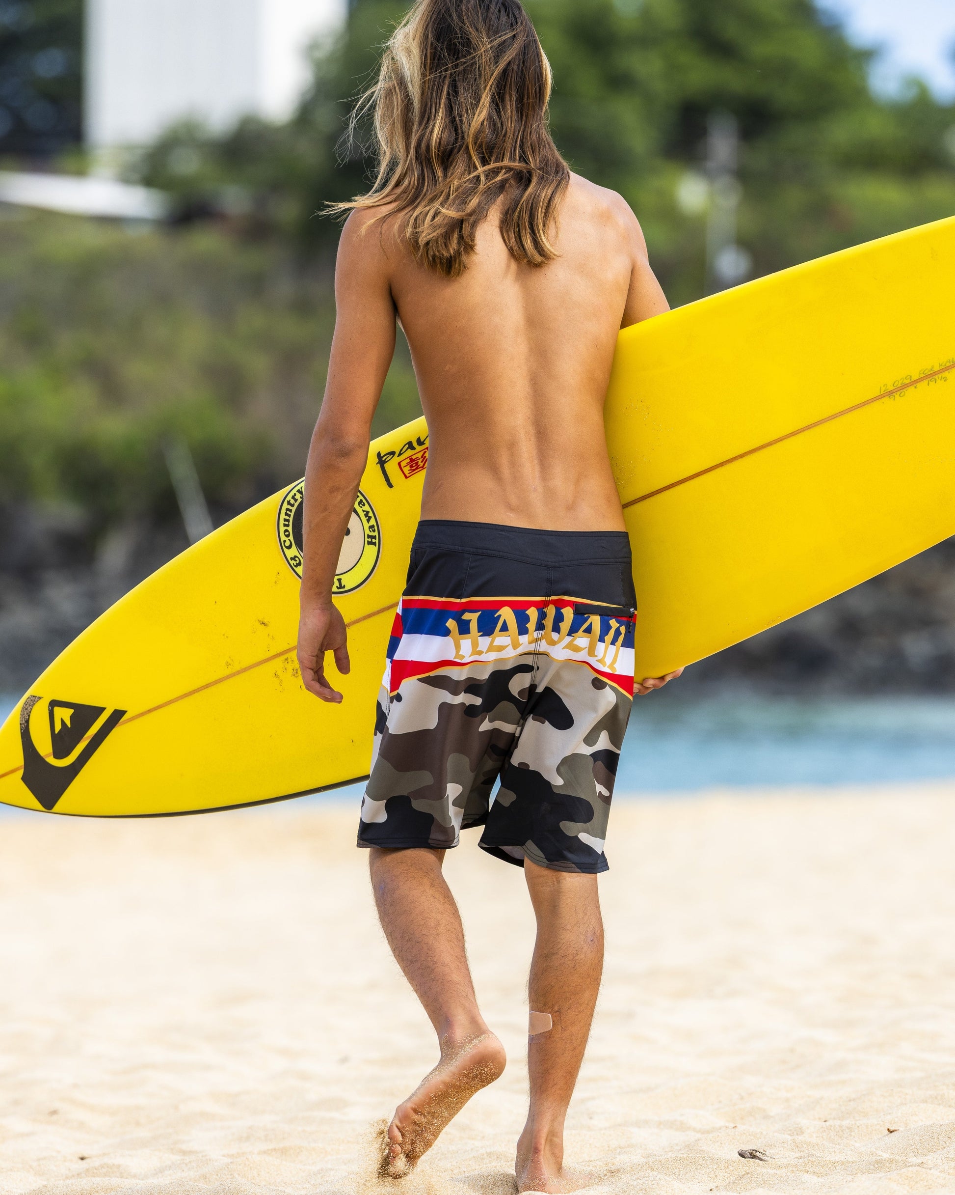Hi Panel 20" Boardshorts - Grape Leaf Grape Leaf Quick Silver