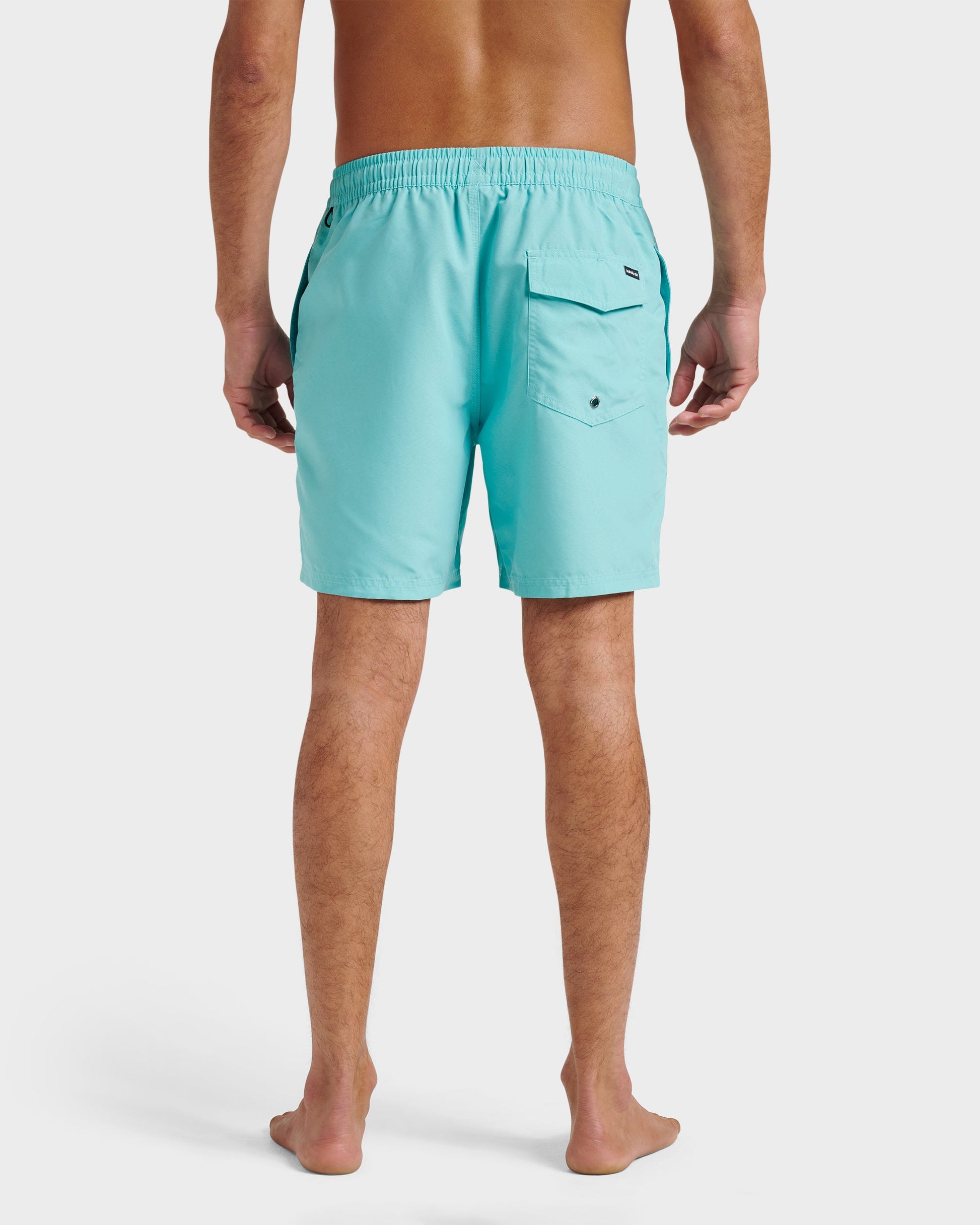 Everyday Solid 17" Swim Trunks - Aqua Sky Aqua Sky Quick Silver