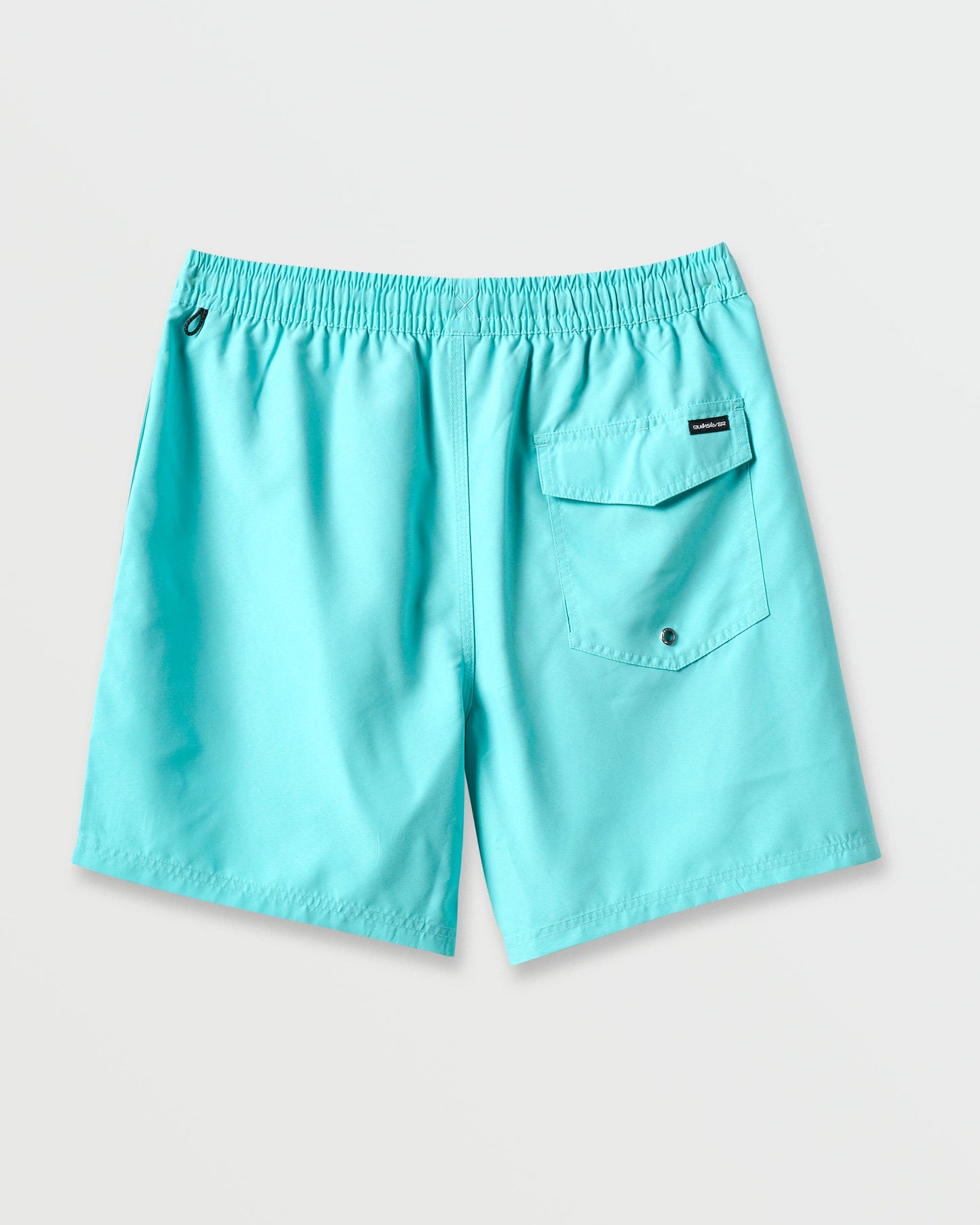 Everyday Solid 17" Swim Trunks - Aqua Sky Aqua Sky Quick Silver