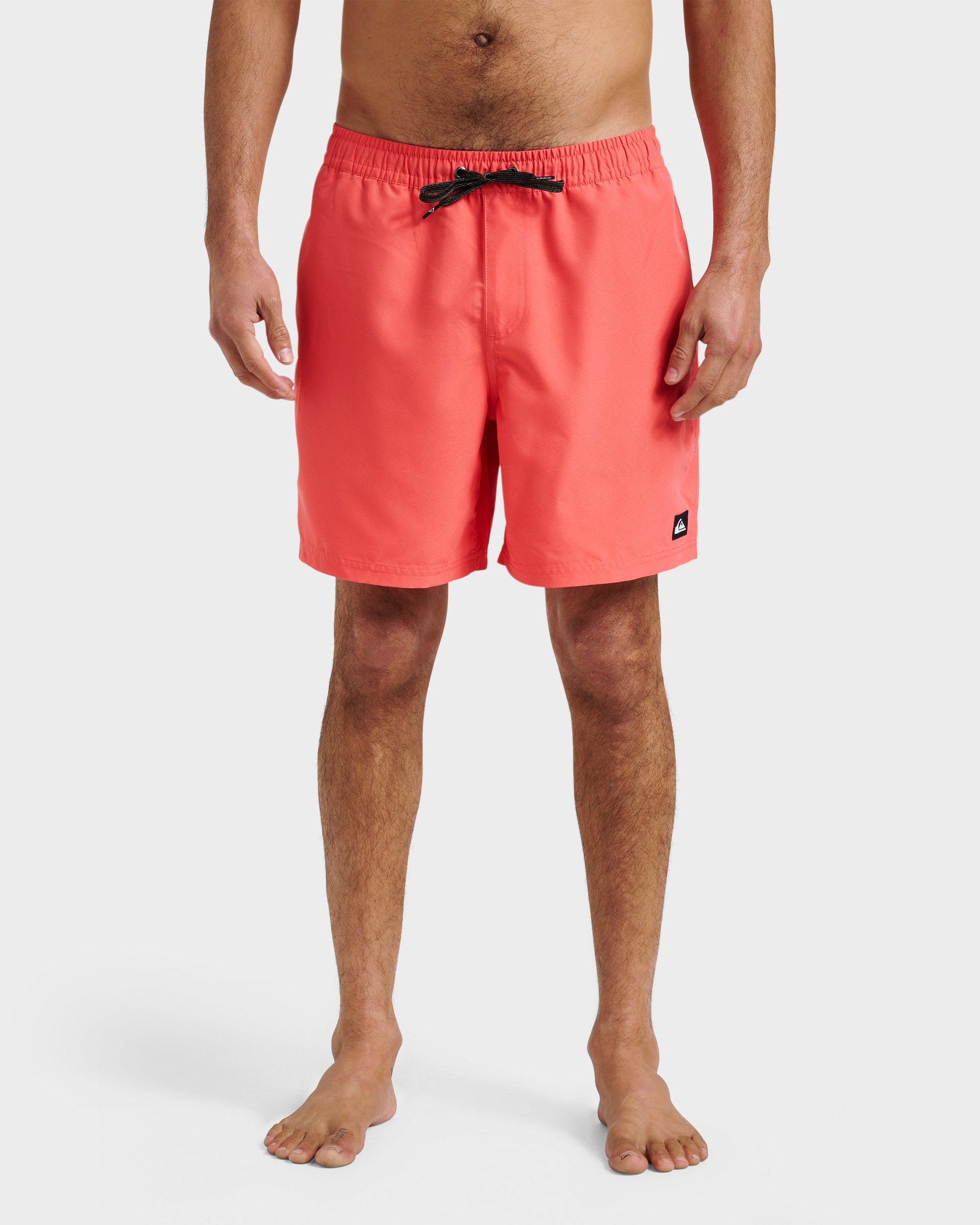Everyday Solid 17" Swim Trunks - Dubarry Dubarry Quick Silver