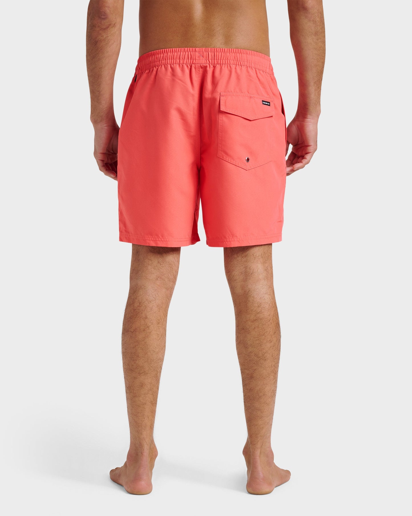 Everyday Solid 17" Swim Trunks - Dubarry Dubarry Quick Silver