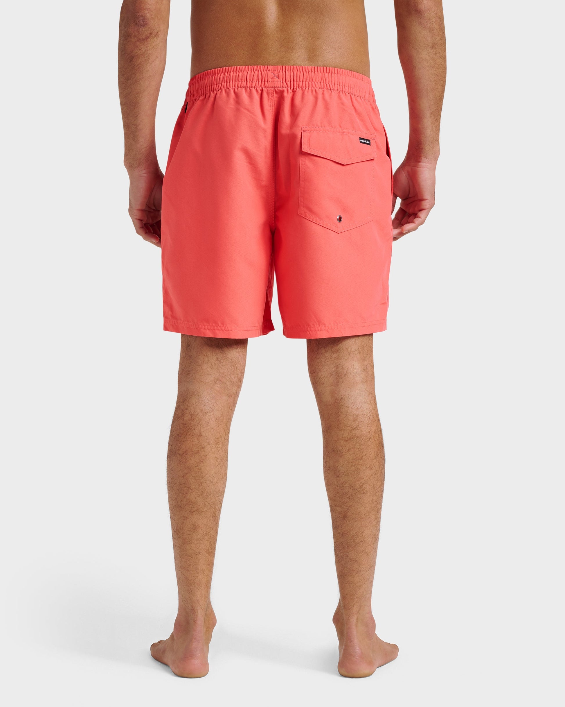 Everyday Solid 17" Swim Trunks - Dubarry Dubarry Quick Silver