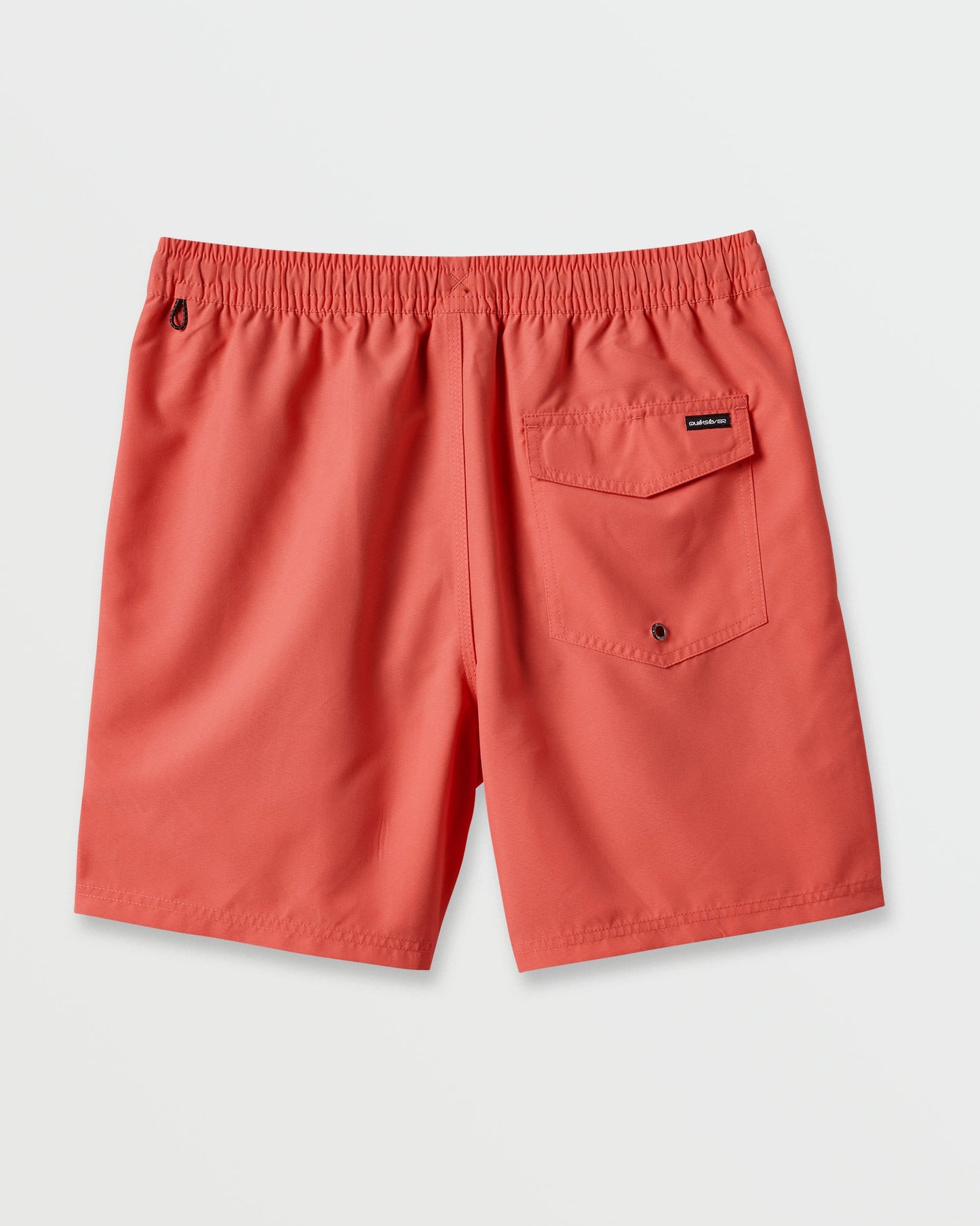 Everyday Solid 17" Swim Trunks - Dubarry Dubarry Quick Silver
