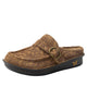easy paisley clog