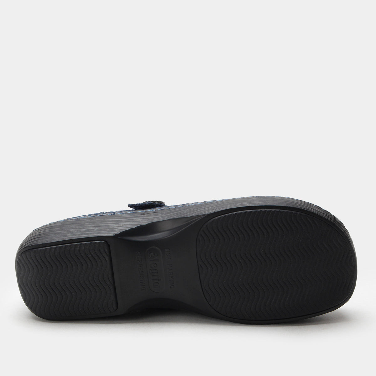 Alegria Opheliah Blue Notes Shoe