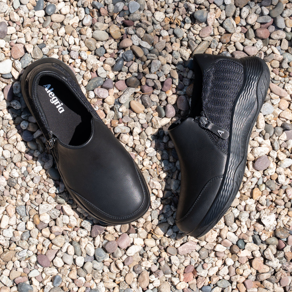 Alegria Jovie Echo Black Shoe