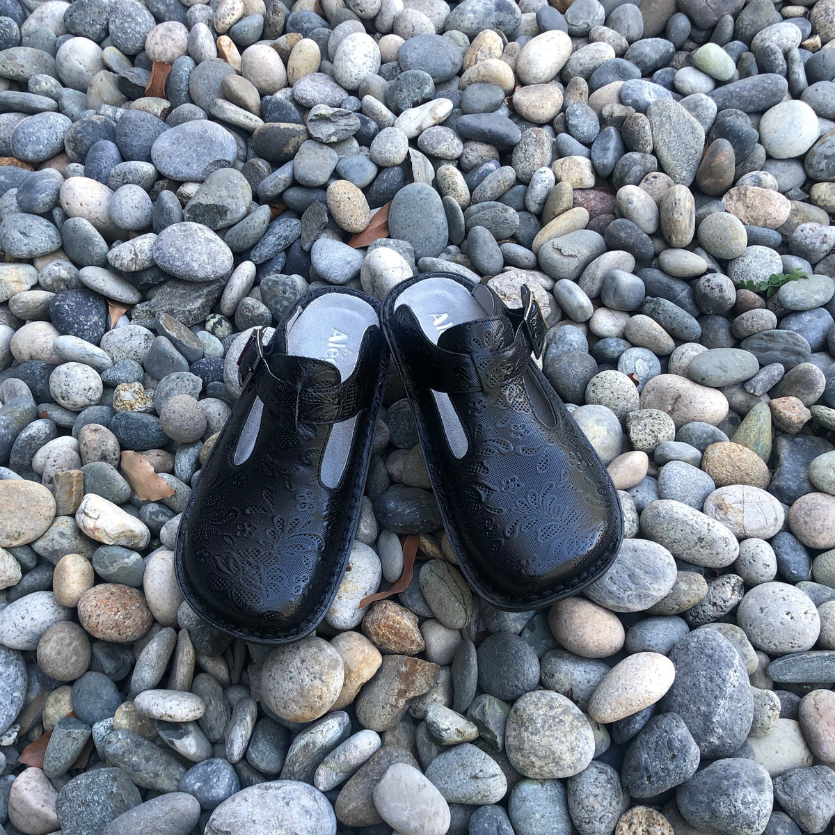 Alegria Classic Hello Doily Shoe