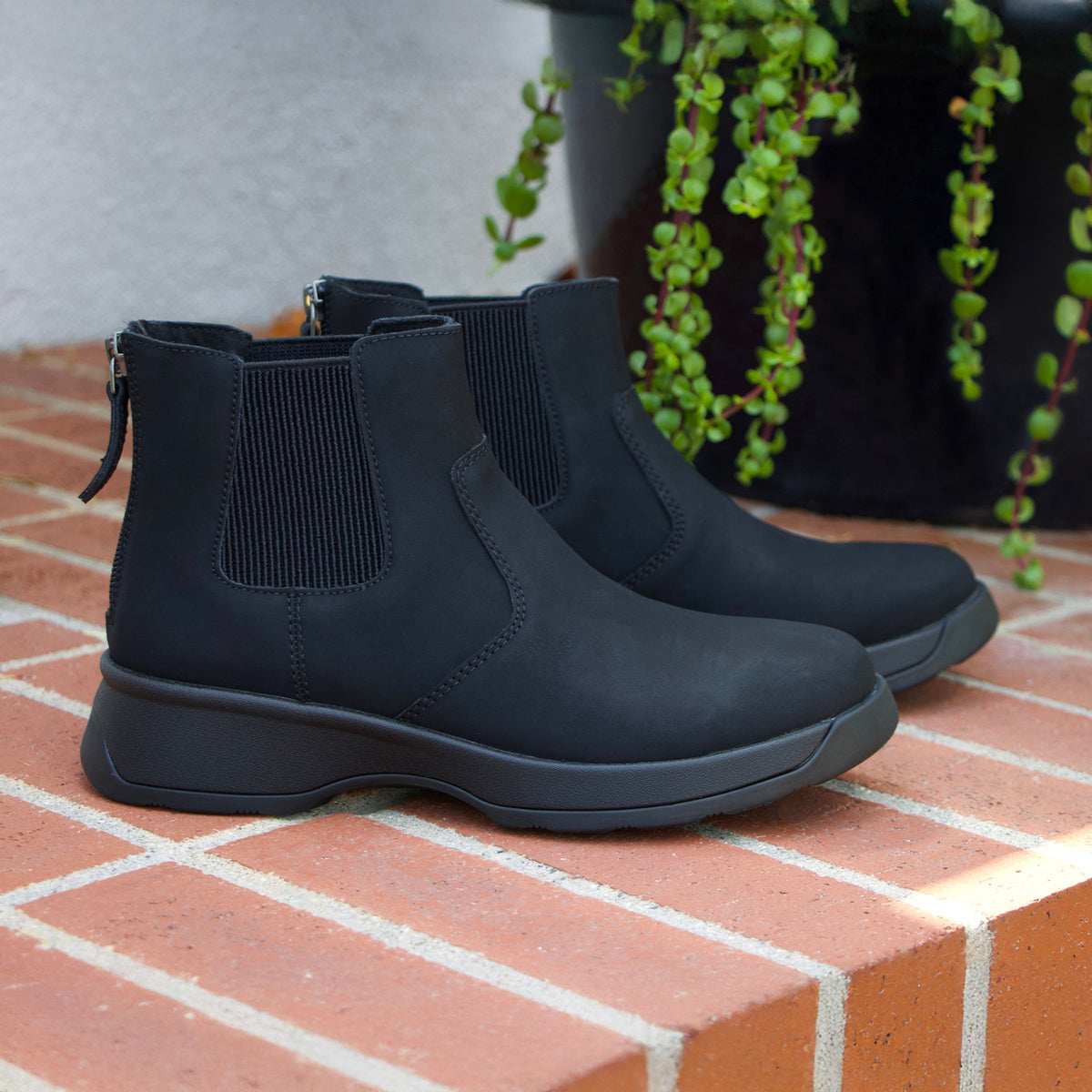 Alegria Frankie Asphalt Boot