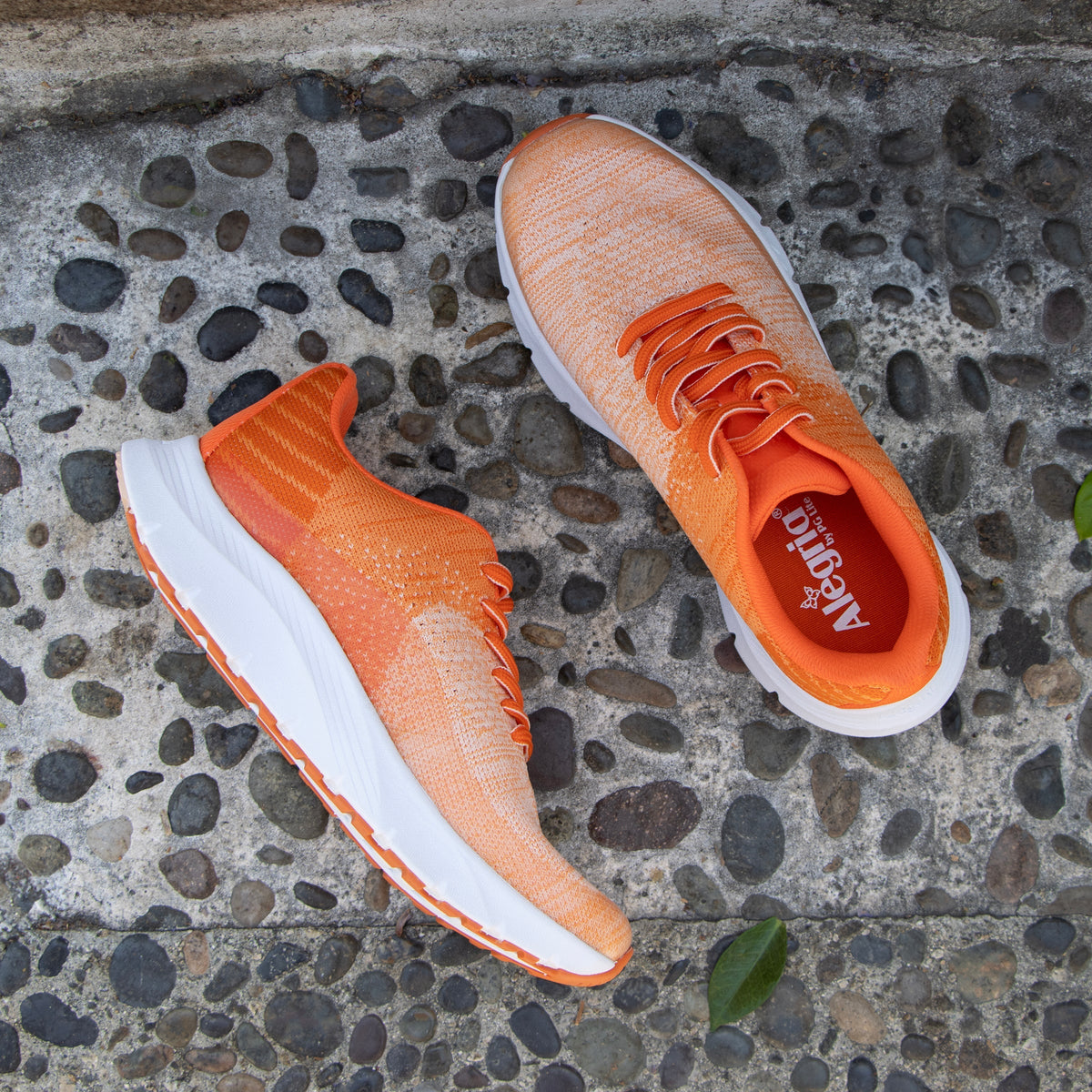 Alegria Revl Ombre Orange Shoe