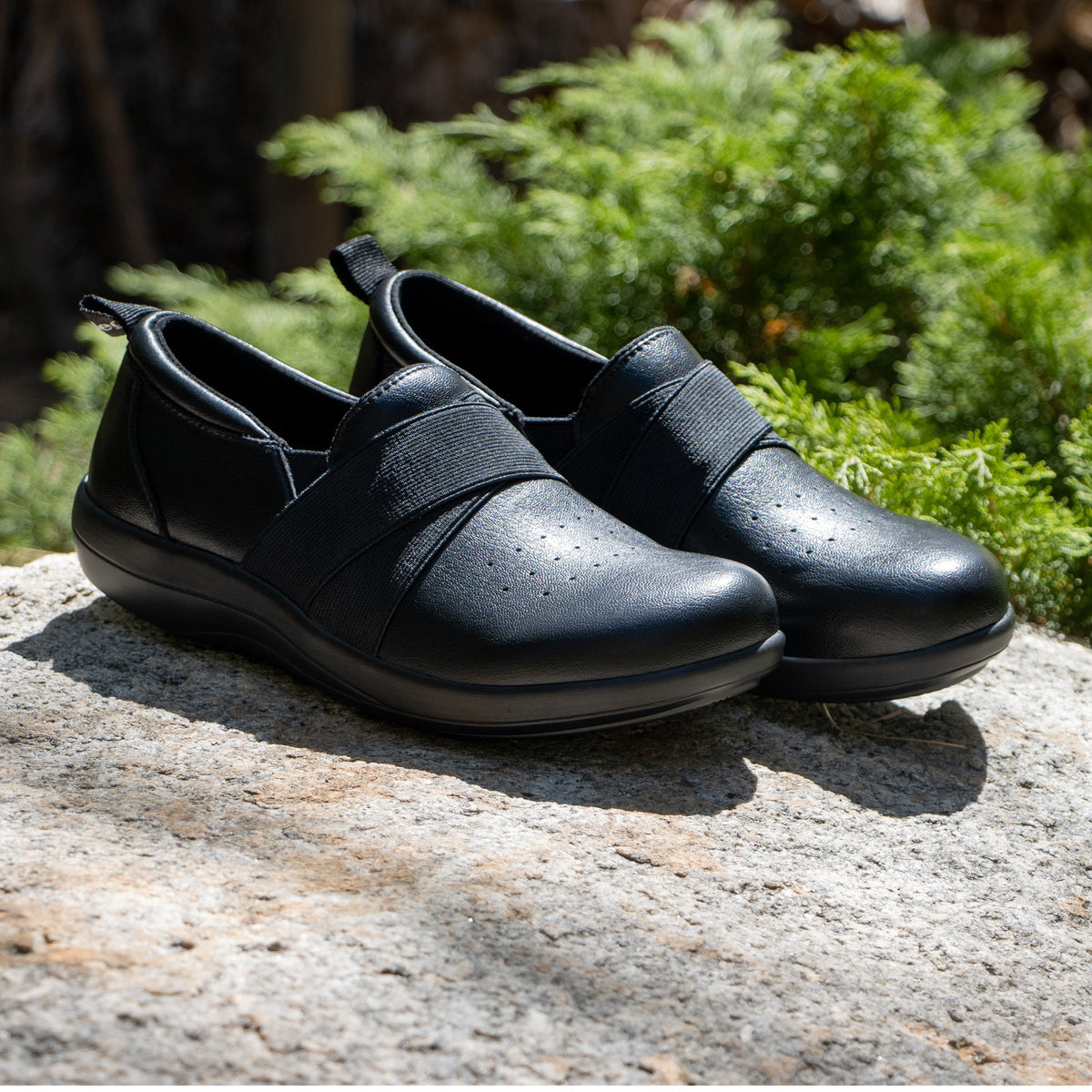 Alegria Savvie Black Smooth Professional Shoe