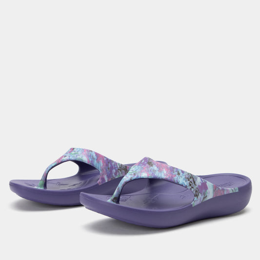 Alegria Ode Itchycoo Grey Sandal