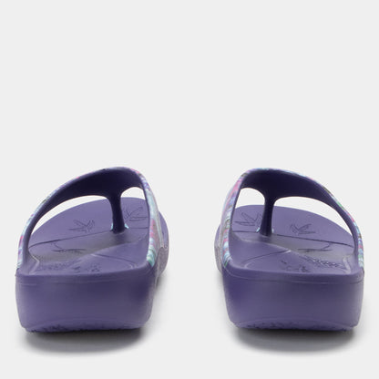 Alegria Ode Itchycoo Grey Sandal