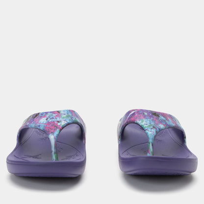 Alegria Ode Itchycoo Grey Sandal
