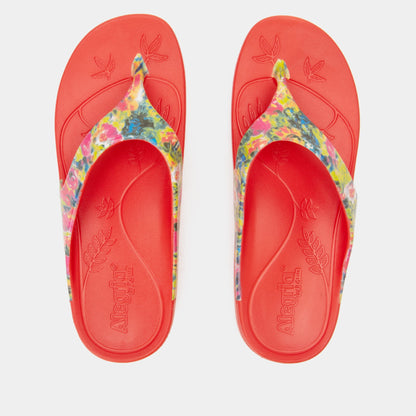 Alegria Ode Itchycoo Sandal