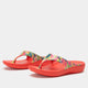itchycoo sandal