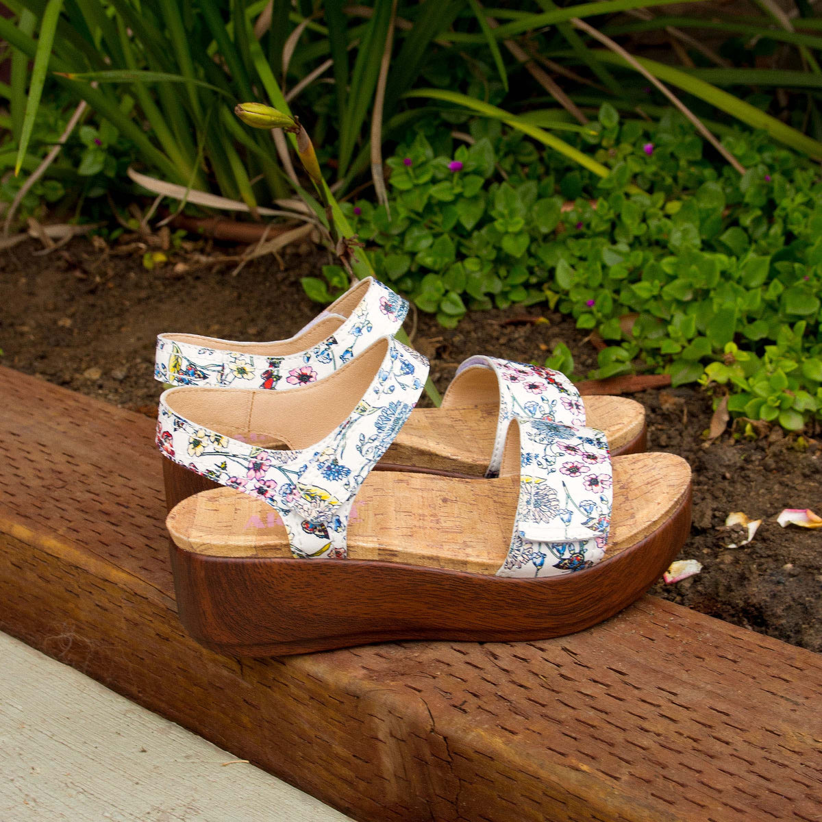 Alegria Tamsyn Fine & Dandy Sandal