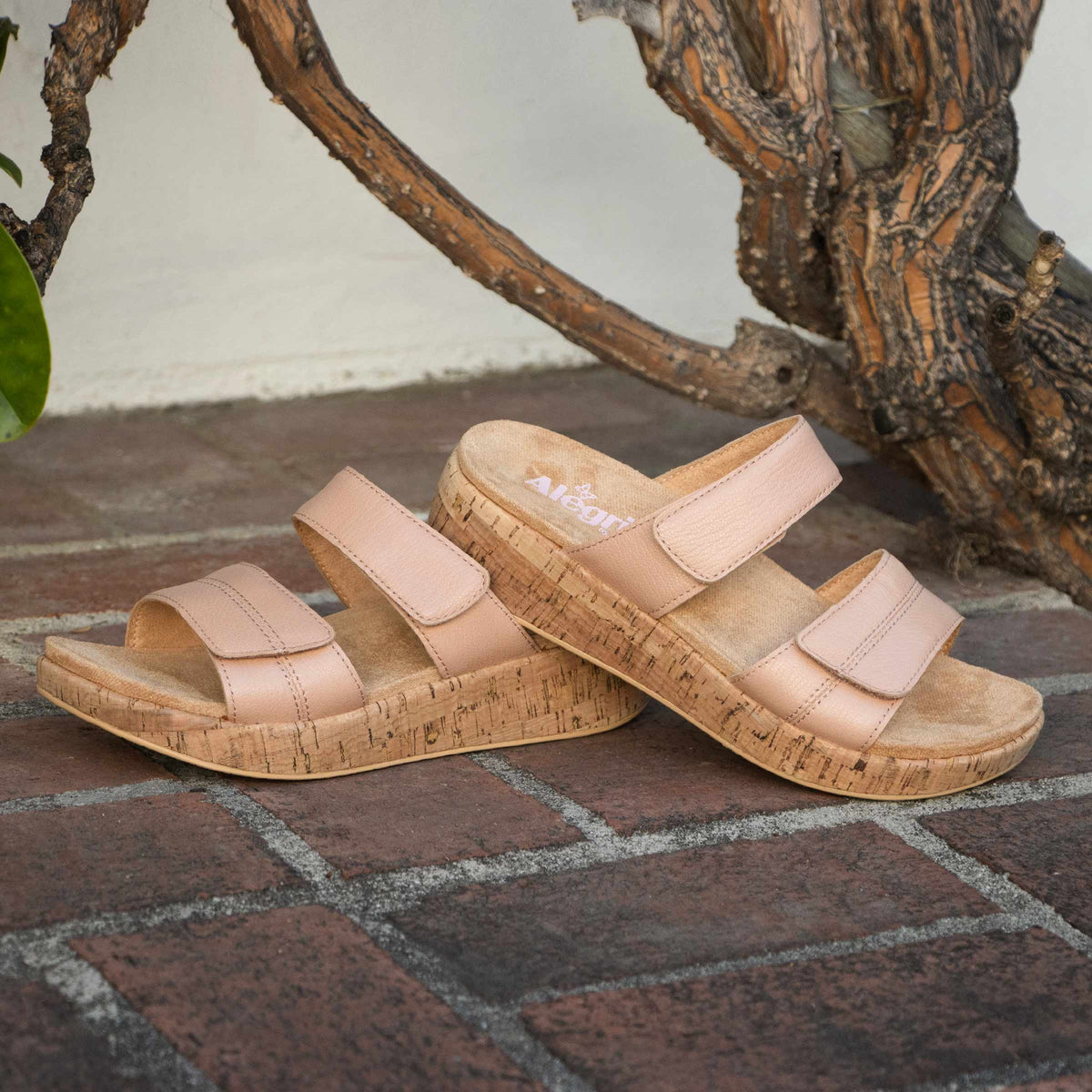 Alegria Mena Mauve Mist Sandal