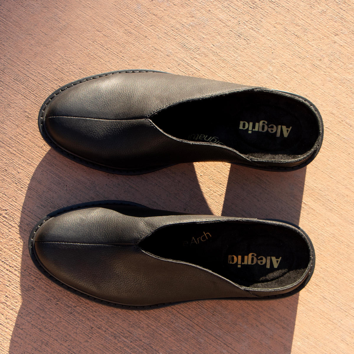 Alegria Michy Black Bird Shoe