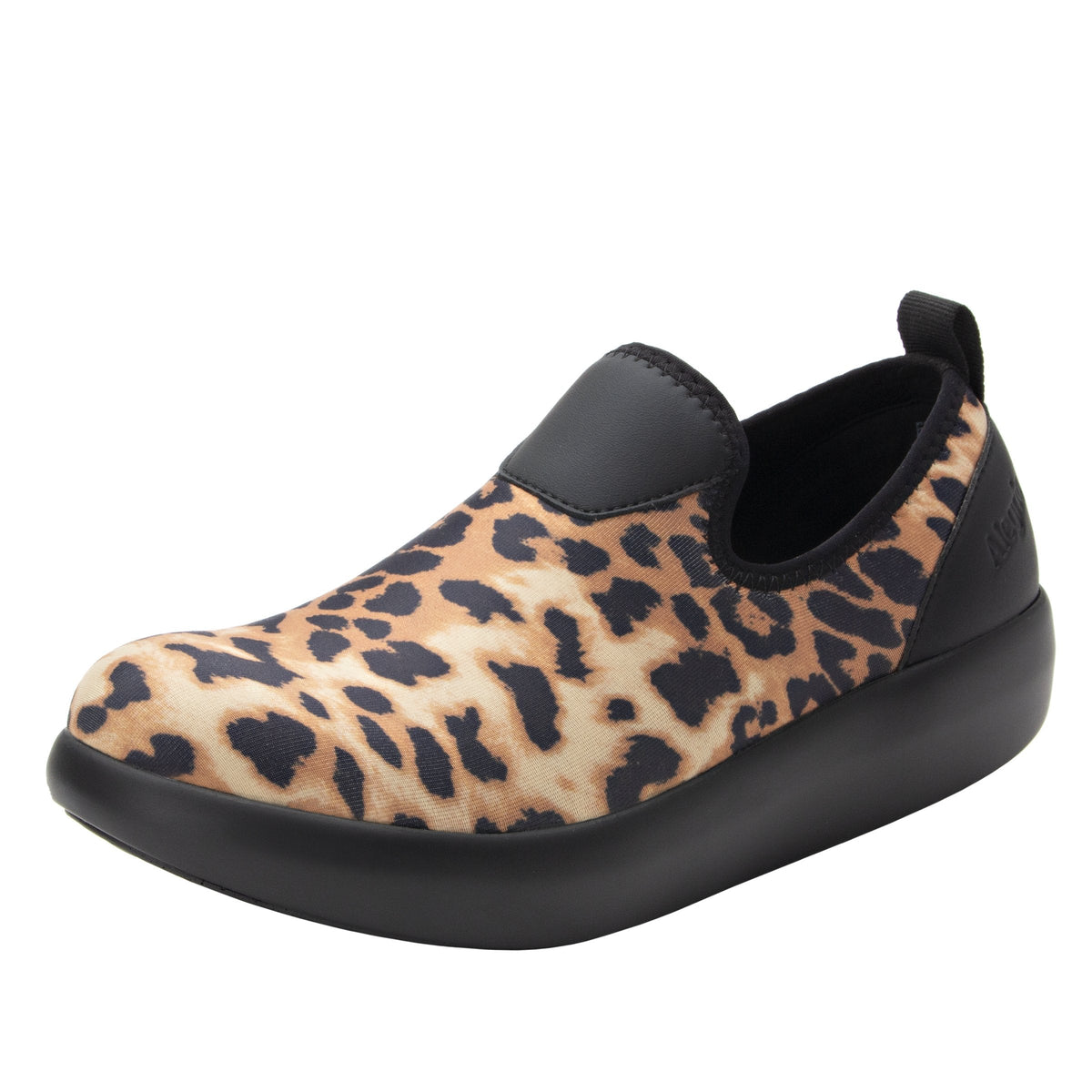 leopard,36