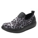 white leopard