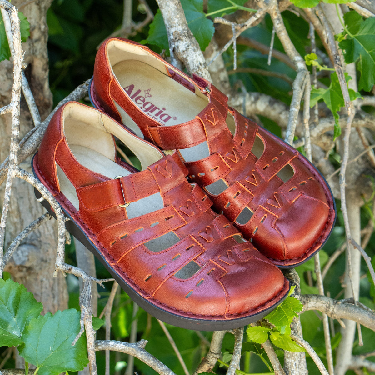 Alegria Pesca Garnet Sandal