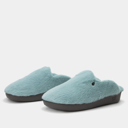 aqua slipper,36